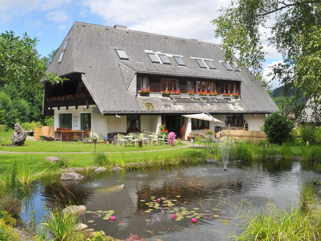 Hostel Spa-hostel Freiburg im Breisgau